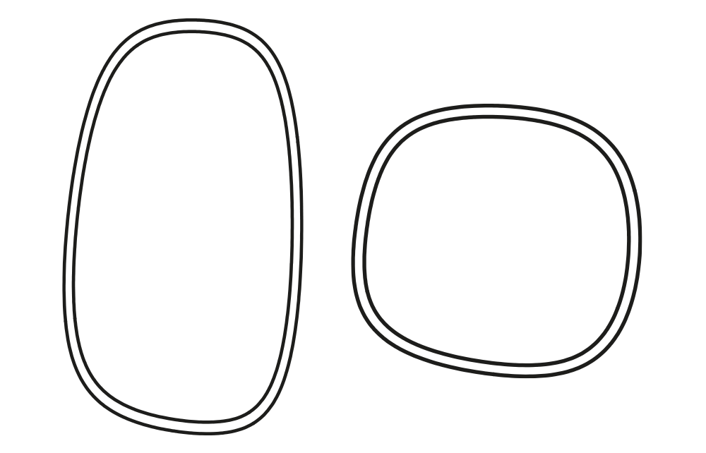 MIR